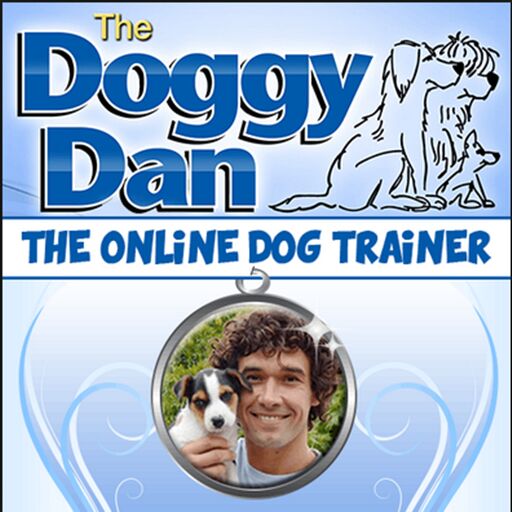 04 best-online-dog-training-courses.png